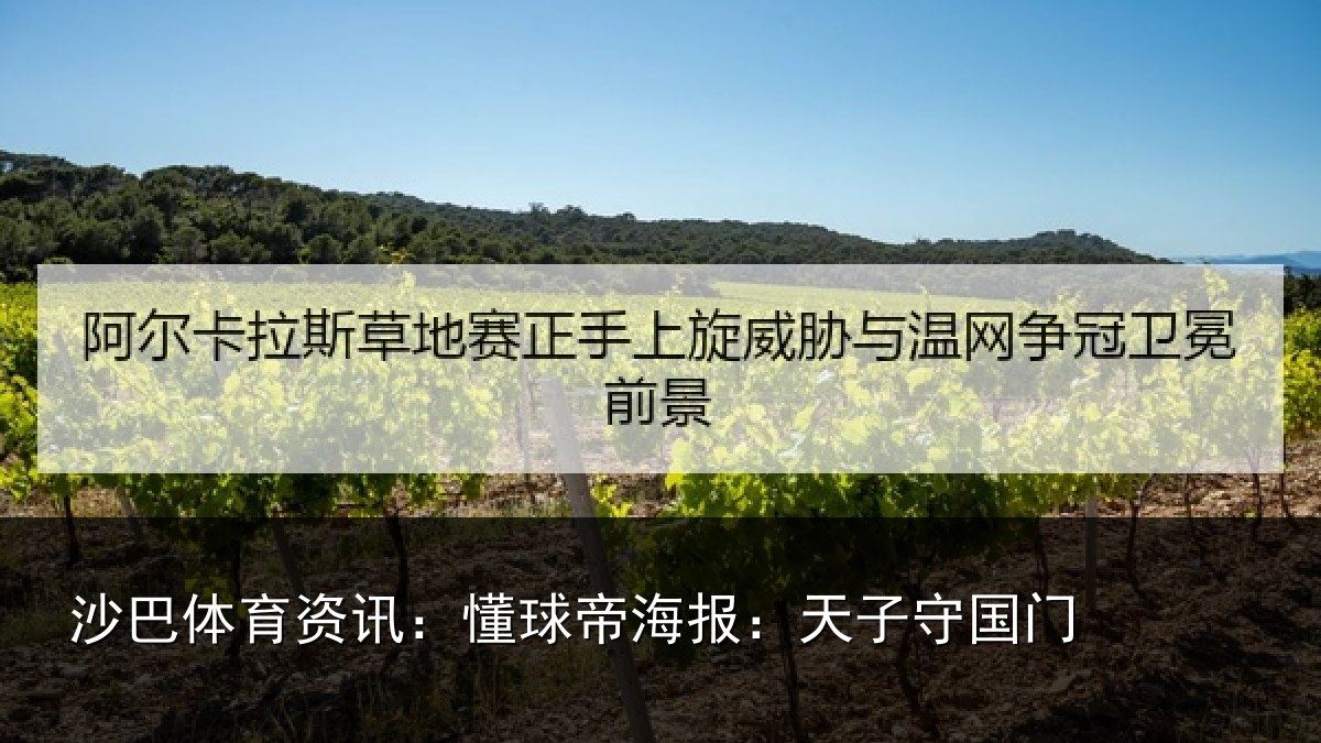 沙巴体育资讯:懂球相关情况