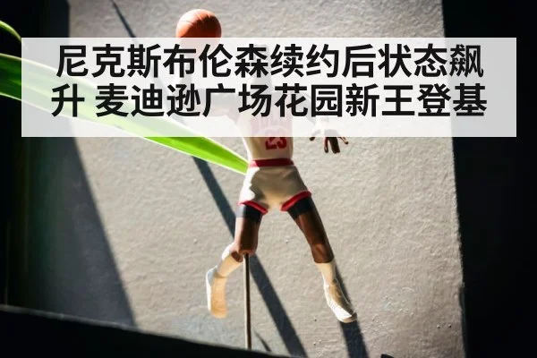 尼克斯布伦森续约后状态飙升 麦迪逊广场花园新王登基